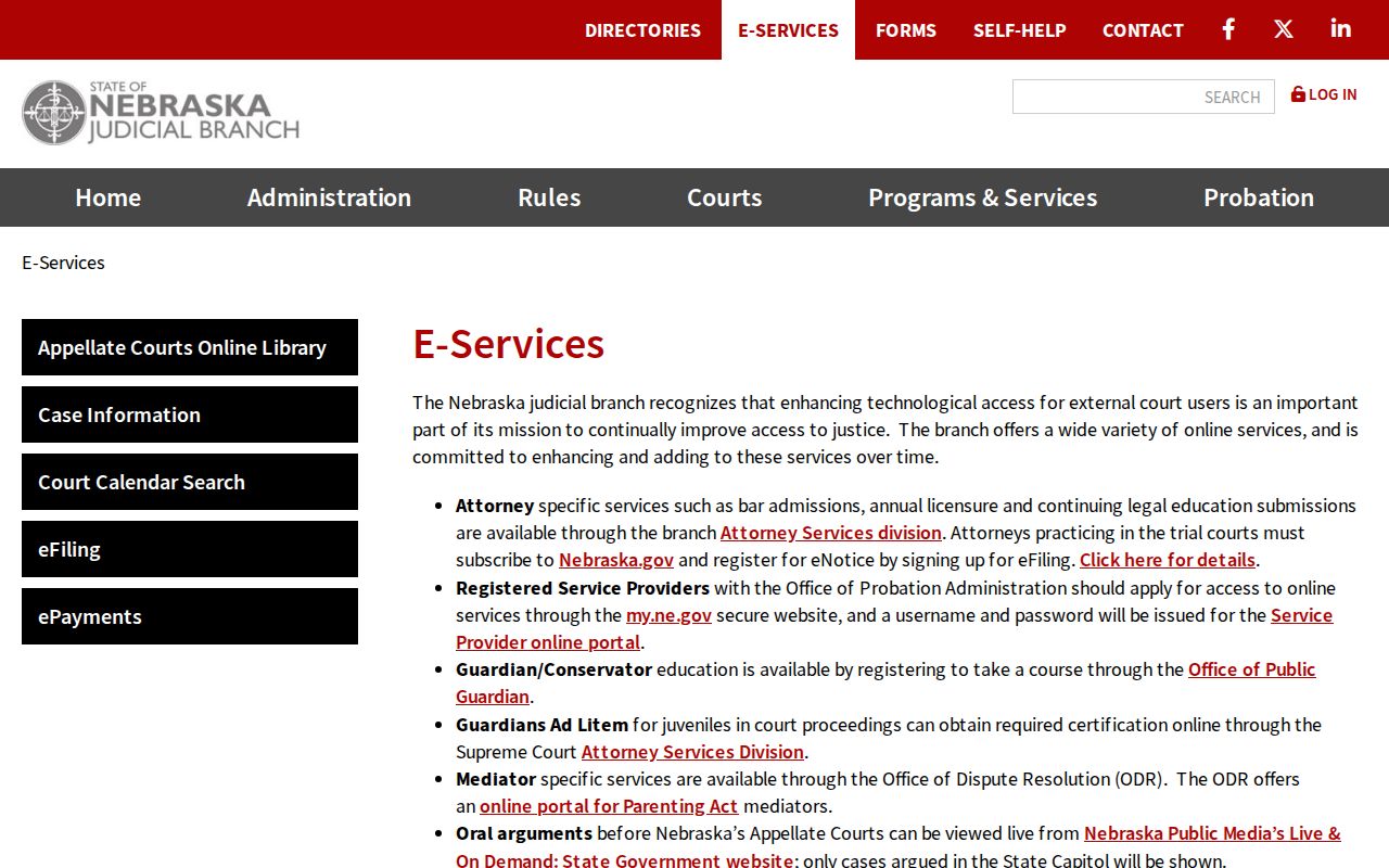 Polk County case lookup context from Nebraska Judicial Branch eServices