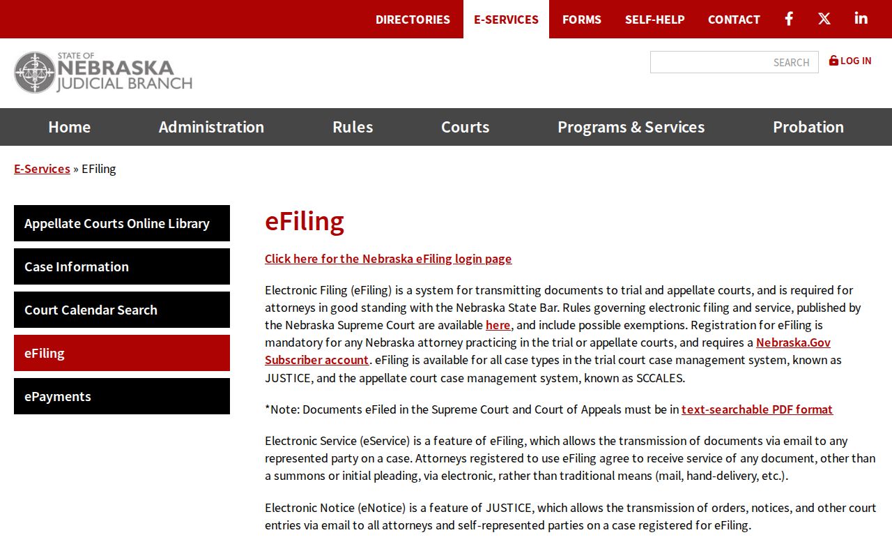 Polk County case lookup boundary between Nebraska eFiling and public case search