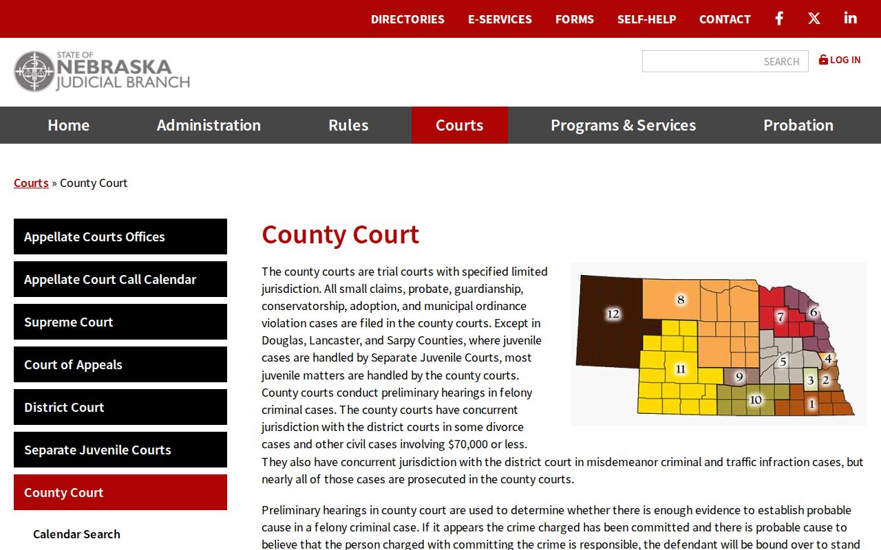 Polk civil docket County Court structure